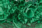 Flowery Polished Malachite Slab - D R Congo #379711-1